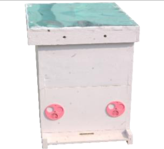 [H-WS02] A.M Beehive with super (without Finger Joint) 22mm Colour painted