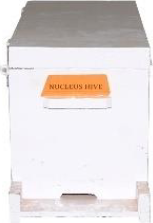 [H-NHH13] A.M Nucleus Hive (5 frame), hinged