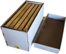 [H-T17] A.M Transporting hive with 5 frames