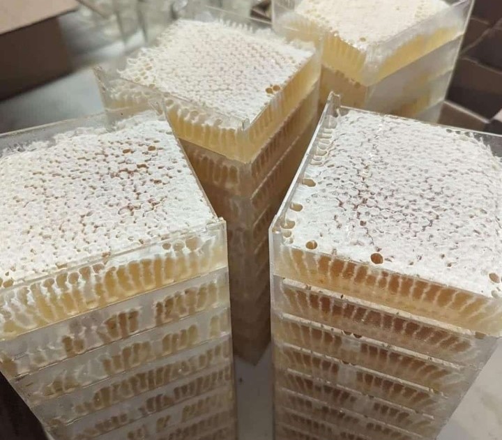 Raw honeycomb frames from the Sacred Honey harvest